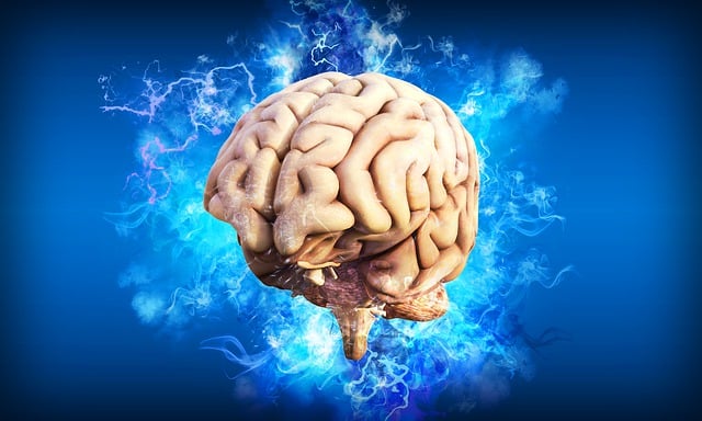 knowledge, knowledge capital
