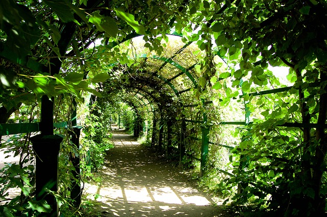 pergolas, pergola
