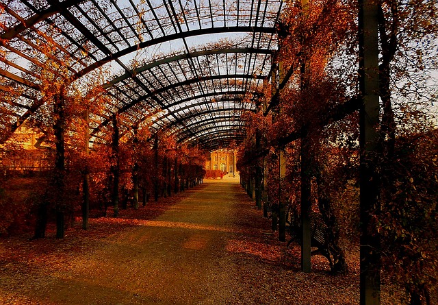 pergolas, pergola
