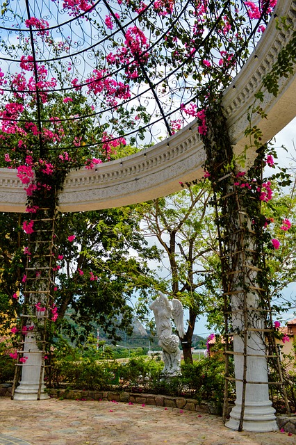 pergolas, pergola