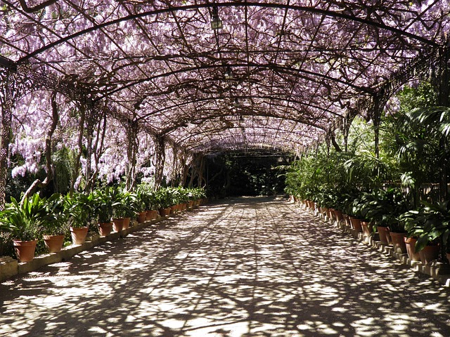 pergolas, pergola