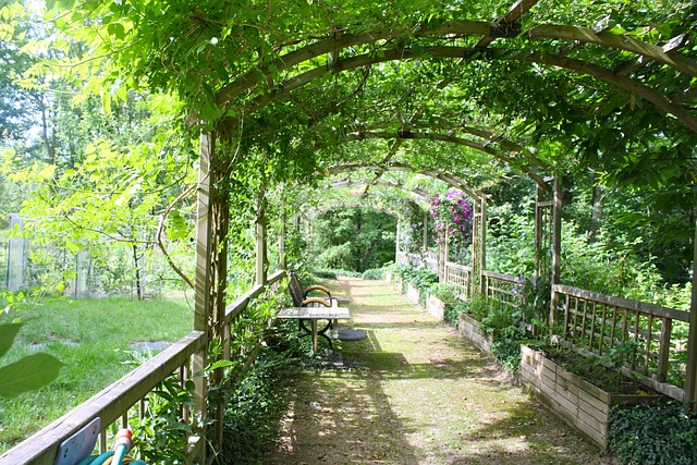 pergolas, pergola