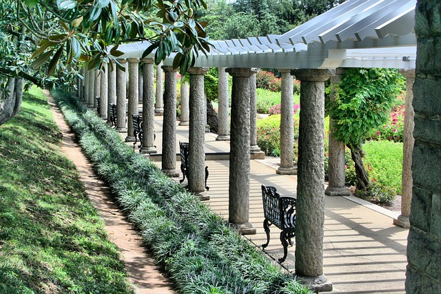 pergolas, pergola