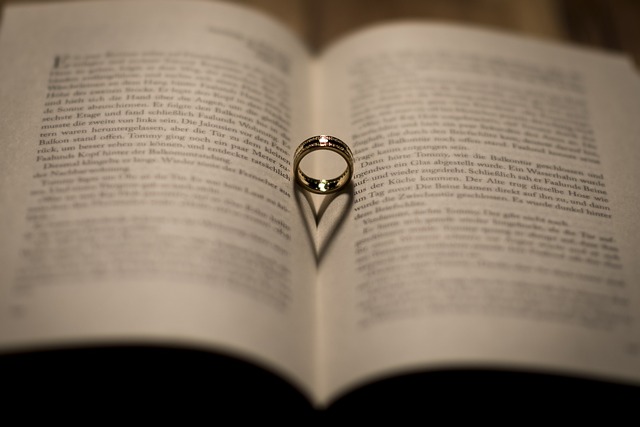 ring terminals