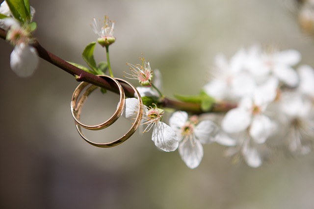 ring terminals
