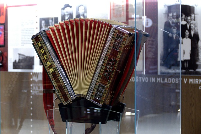 accordion, accordions