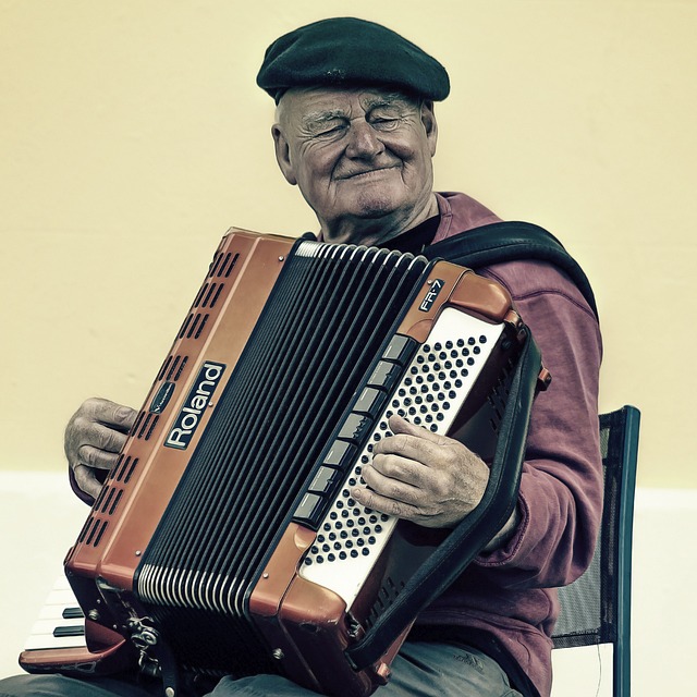 accordion, accordions