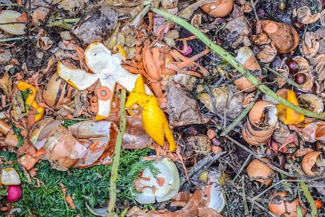 composting, compost, vermiculture