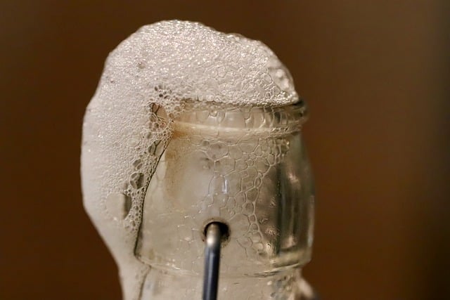 kombucha
