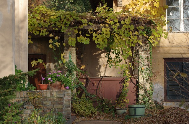 pergolas, pergola