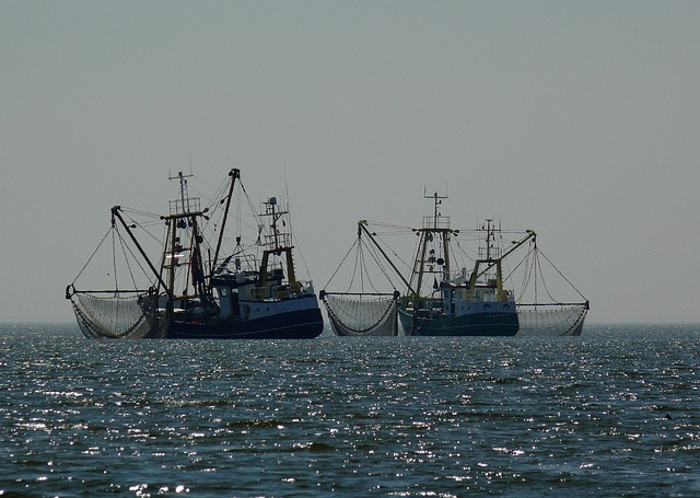 fishing supplies
