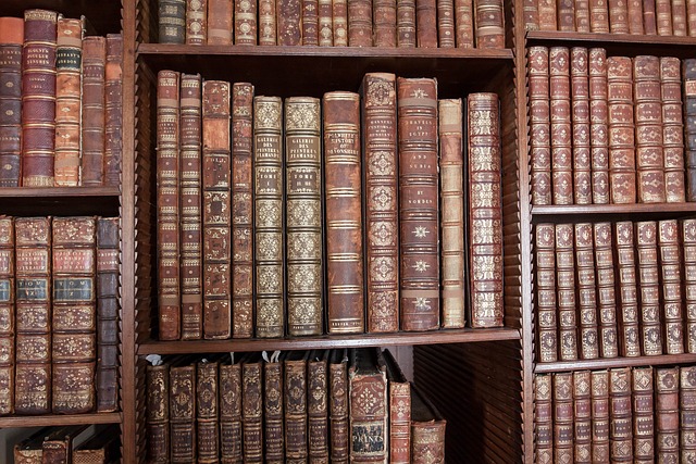 knowledge, knowledge capital