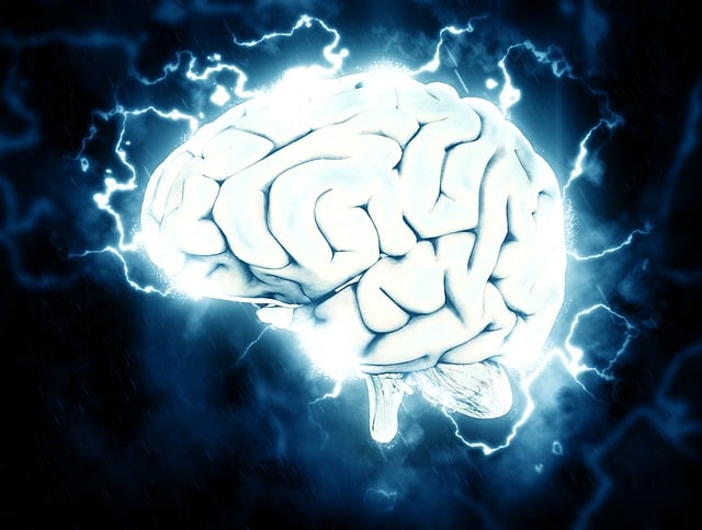 knowledge, knowledge capital
