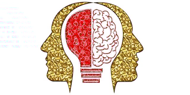 knowledge, knowledge capital