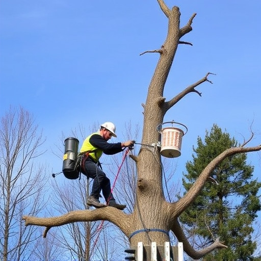 tree services
