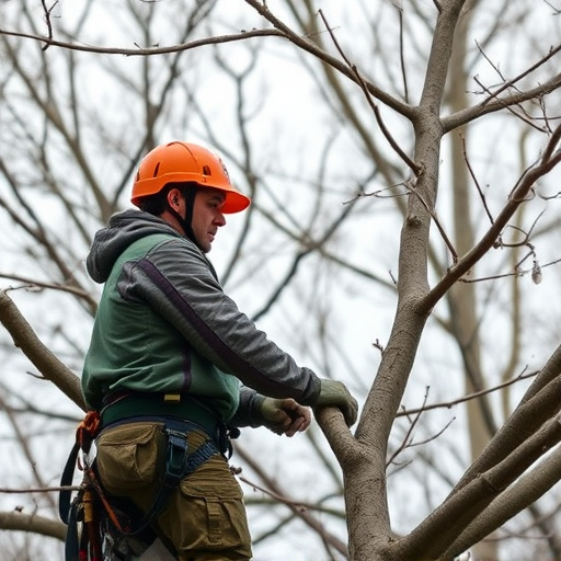 arborist