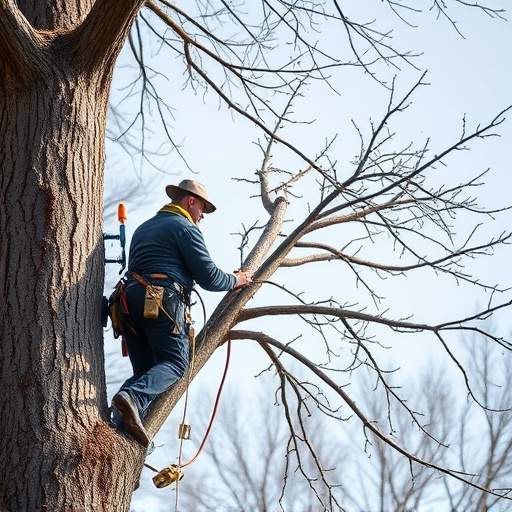 arborist
