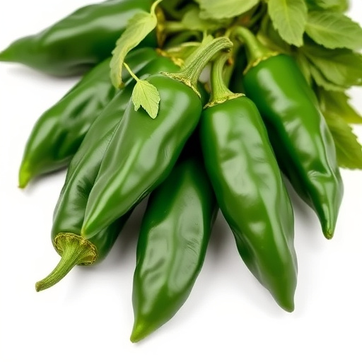 jalapenos peppers