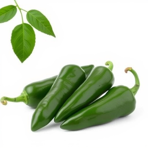 jalapenos peppers