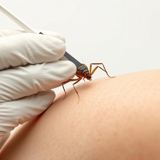 lice treatment