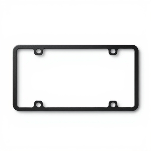 license plate frames