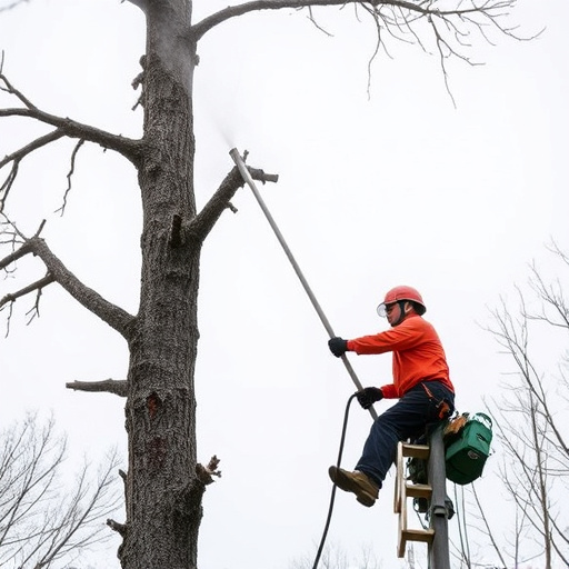 tree services