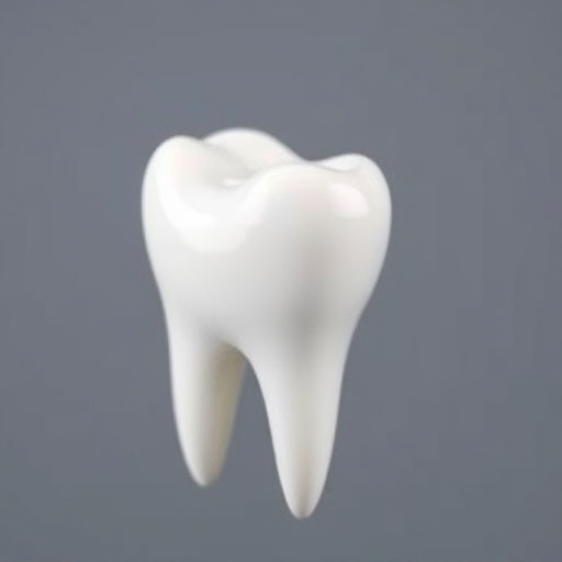dental burs