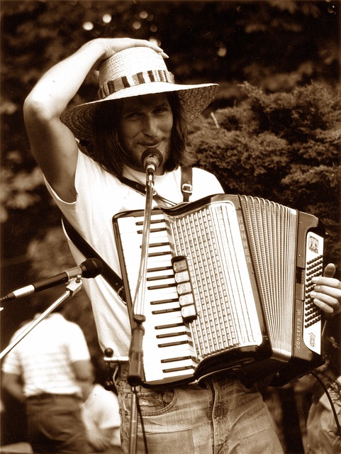 accordion-accordions-640x480-71227694.jpeg