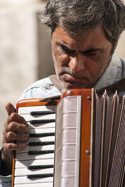 accordion, accordions