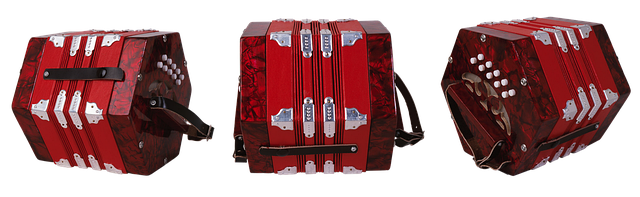 accordion-accordions-640x480-71111347.png