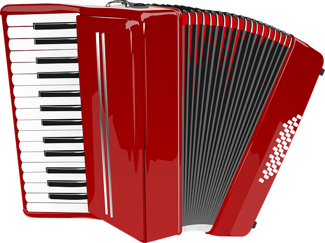 accordion, accordions