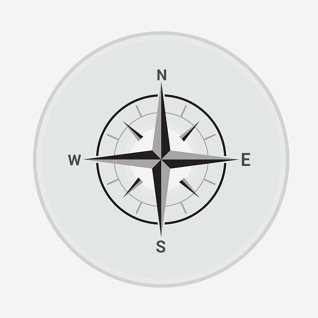 compass, compasses, magnetic compass