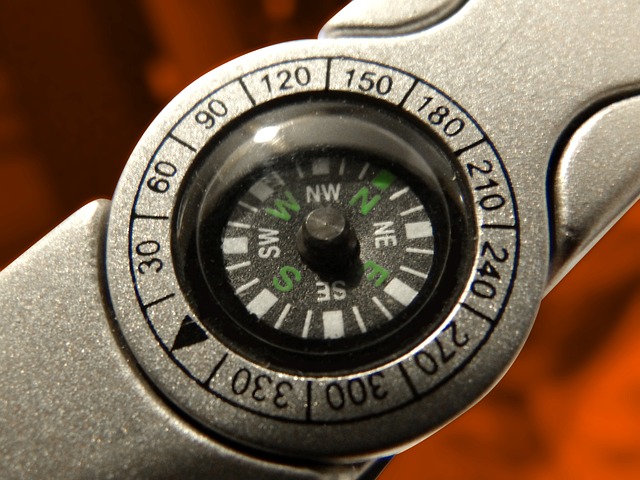 compass, compasses, magnetic compass