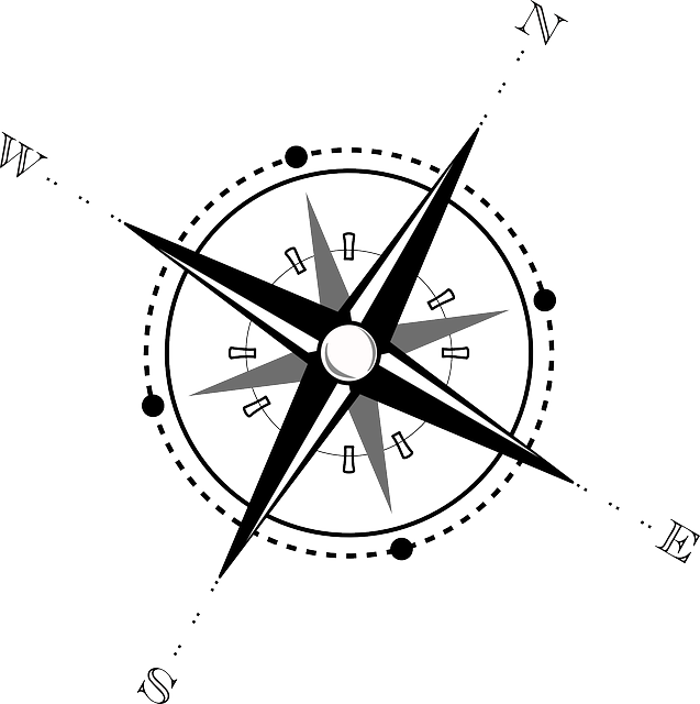 compass, compasses, magnetic compass