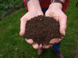 composting-compost-vermiculture-640x480-51553320.jpeg