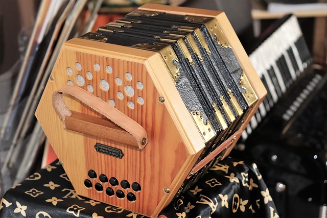 accordion-accordions-640x480-60601606.jpeg