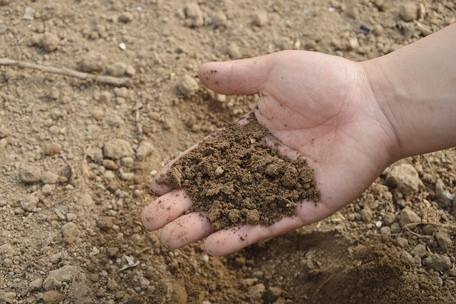 composting, compost, vermiculture