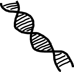 dog-dna-test-puppy-dna-test-640x480-16765872.png