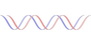 dog-dna-test-puppy-dna-test-640x480-1834348.png