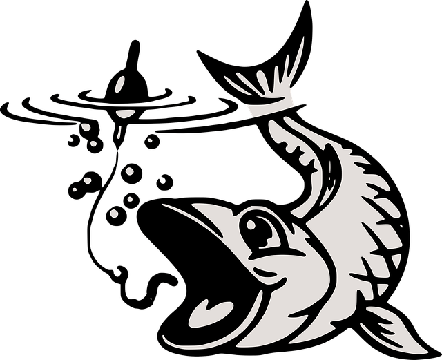 fishing-supplies-640x480-42949207.png