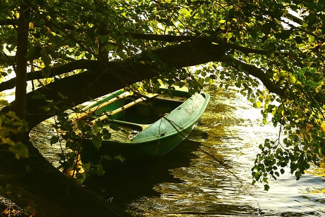 kayaking-kayaks-kayak-640x480-24407058.jpeg