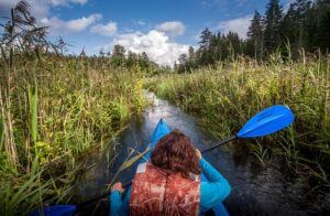 kayaking-kayaks-kayak-640x480-31274259.jpeg