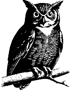 knowledge-knowledge-capital-640x480-44035708.png