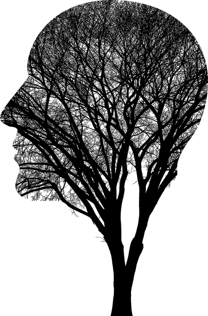 knowledge-knowledge-capital-640x480-98666554.png