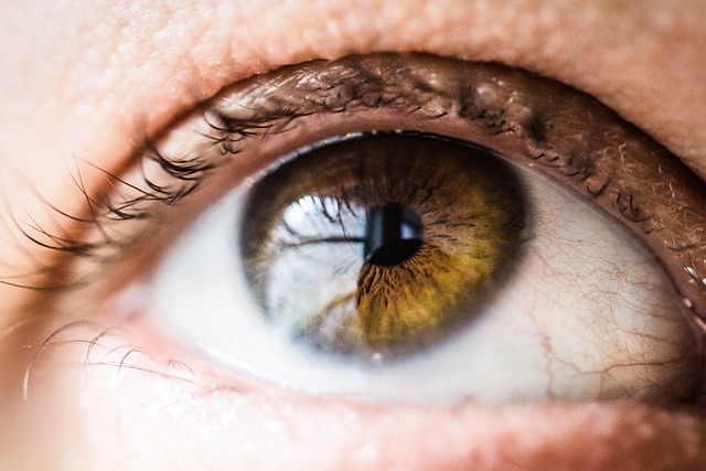 mascara-640x480-79518742.jpeg