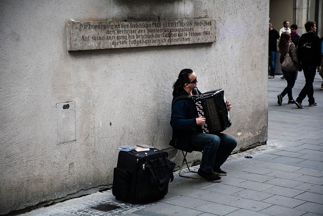 accordion, accordions