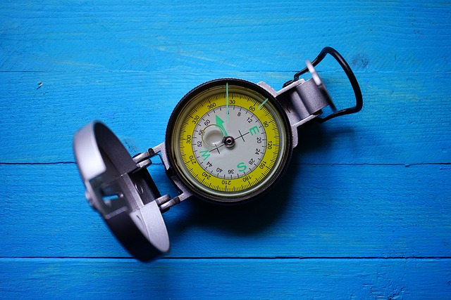 compass, compasses, magnetic compass