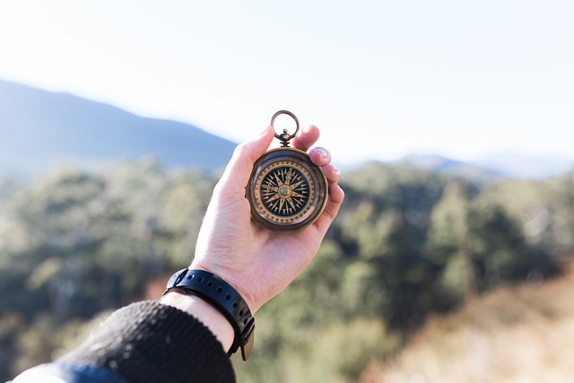 compass, compasses, magnetic compass