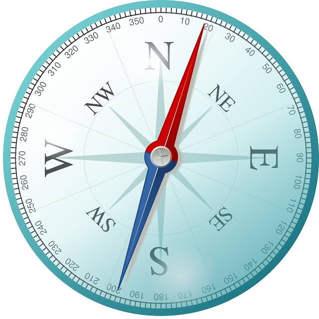compass, compasses, magnetic compass
