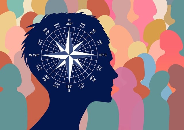 compass, compasses, magnetic compass